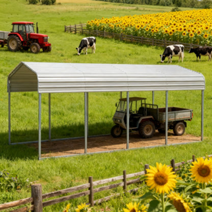 11'x20' Heavy-Duty Metal Carport
